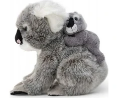 Dantė Koala su vaiku