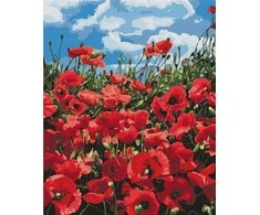 Art Active Tapyba pagal skaičius - Nuostabios aguonos 40x50cm