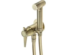 Potinkinis bidė dušelio komplektas Deante Temisto BQT_M34M, Brass