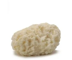 Martini Spa Gentle sponge Arome