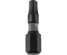 Dedra Atsuktuvu smuginiai antgaliai Torx T27x25mm 2vnt