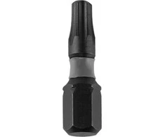 Dedra Atsuktuvu smuginiai antgaliai Torx T30x25mm 10vnt