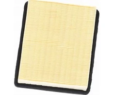 Dedra HEPA filtras, skirtas DED6607