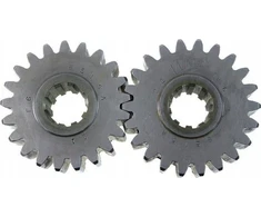 Dedra Gears 19/29