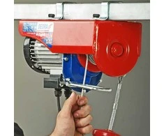 Dedra Elektrinis keltuvas 1000W 250500kg