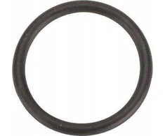 Dedra O-ring for Winters diferencialo patikros kaištis