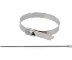 Dedra Nerudijanio plieno svaros 79x520mm SS304 20vnt