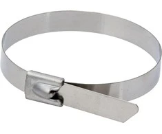 Dedra Nerudijanio plieno svaros 79x520mm SS304 5vnt