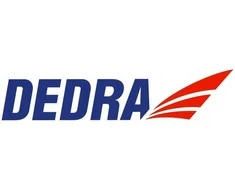 Dedra Drut Pjovimo viela ded7518, 2 vnt.