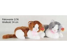 Deef Kitten pastebėtas gulintis didelis VIC03478 34788