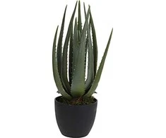 Dekoracja Domu Dirbtinis augalas su vazonu alavijas 42 cm