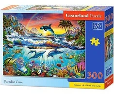 Castorland Dėlionė Paradise Cove 300 Det.
