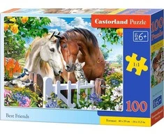 Castorland Dėlionė 100 vnt. - Geriausi draugai