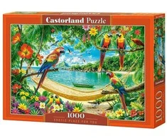 Castorland dėlionė Exotic Place For You 1000 det
