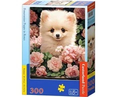 Castorland dėlionė Pomeranian Puppy in Roses 300 det.