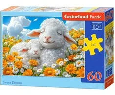 Castorland dėlionė Saldūs sapnai B-066308 60 detalių