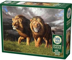 G3 Dėlionė 1000 detalių artėjanti audra Cobble Hill