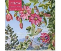 Educa Dėlionės 500 vaizdas Brisbeno Kew Marianne sode