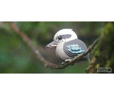 Dėlionė Fat Brain Toys Eugy – 3D galvosūkis – juokinga Kookaburra