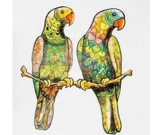 PuzzleOK Medinė dėlionė 82 vnt. - Papūgėlės