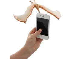 Dėlionė Teka Balansuj±cy pteranodon galvosūkis