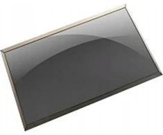 Dell LCD ekranas 15,6 colių FHD