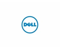 Dell Palmrest, No Security diskas