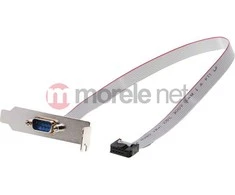 DELOCK Slotblech - Seriell 1xPort žemo profilio kabelis apytiksl. 40 cm