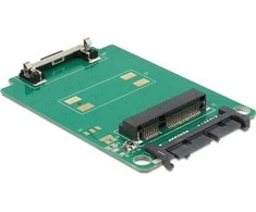 Delock Konverteris Micro SATA - mSATA (62520)