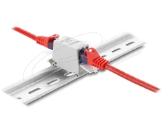 Delock RJ45 jungtis Cat.6A lizdas į lizdą su apsauga nuo dulkių montavimui ant bėgelio ekranuota juoda / balta
