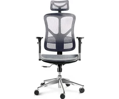 Ergonominė kėdė Diablo V-Basic Normal Ergonomic Chair, Pilkos/ Juodos spalvos