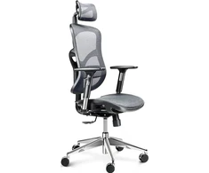 Ergonominė kėdė Diablo V-Basic Normal Ergonomic Chair, Pilkos/ Juodos spalvos