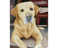 DIAMOND DOTZ Deimantinis siuvinėjimas Diamond Dotz Diamond mozaika Labrador King 48x58cm DQ10027