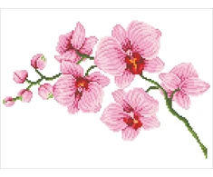 DIAMOND DOTZ Deimantinis siuvinėjimas Diamond Dotz Orchid 49x39cm DD6034