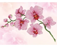 DIAMOND DOTZ Deimantinis siuvinėjimas Diamond Dotz Orchid 49x39cm DD6034