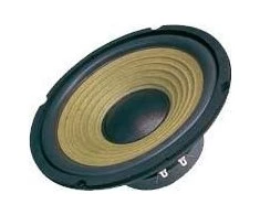 Dibeisi Oem Garsiakalbis DBS-G8002 8 colių - 4 omai