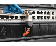 Digitus DIGITUS CAT 6A lauko kištukas, lankstomas, apsauginis dangtelis nuo dulkių