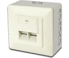 DIGITUS CAT 5e sieninis lizdas, ekranuotas, 2x RJ45, 8P8C, LSA, spalva grynas baltas, montuojamas ant paviršiaus, DN-9002/B5-N