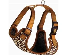 Dingo DINGO BE SLĖGIO DIRŽAI S 1,5 cm / 30-38 cm LEOPARD