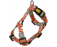 Dingo Petrių pakinktai Guard City Spain M 3,0x38-70cm (95354)