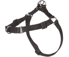 Dingo DGIO SZELKI EASY WALK 52-74cm Juodas