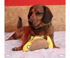Dingo Dingo Taco Plus šunų žaislas 20cm