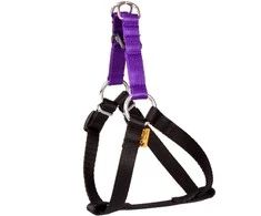 Dingo Fred Energijos dydis 60 cm. Purpurinė (94635)