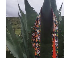 Dingo DGIO SISTEMOS REG. CITY CHIAPAS 2,0 x 220cm