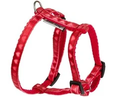 Dingo Petnešos „Love Heart“, 10 mm/kaklo apimtis 19–31 cm, pilvo apimtis 29–47 cm, raudonos su širdelėmis