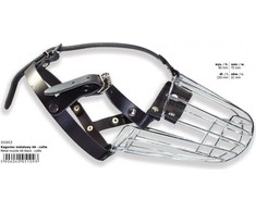 Dino antsnukis metalas - 4a Collie