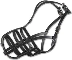 Dino Kniedytas odinis snukis - 13 Medium Shepherd