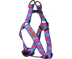 Dino DINO SZELKI TAŚMA REG. IVO 20mm SERCA dł. 40-60cm