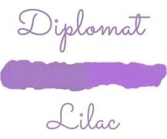 Diplomat 30 ml stiklinis rašalas