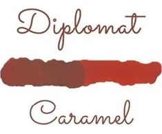 Diplomat Domo Octopus 30 ml stiklinis rudas rašalas
